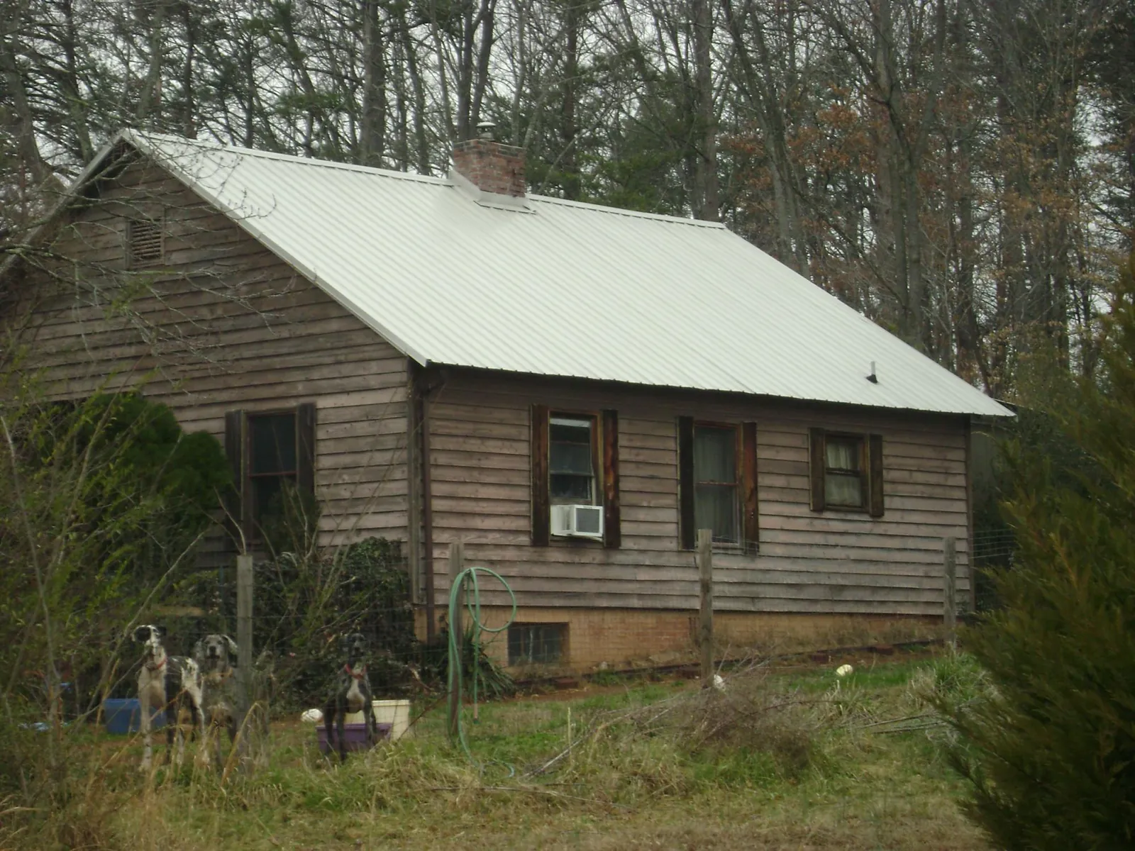 White metal roof on an old wood sided farmhouse, from a Asphalt Shingle Roof Repair job in Severance